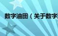 数字油田（关于数字油田的基本详情介绍）