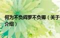 何为不负阎罗不负卿（关于何为不负阎罗不负卿的基本详情介绍）