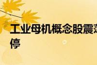 工业母机概念股震荡走高，金明精机20cm涨停