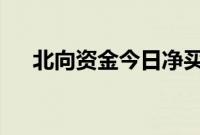 北向资金今日净买入格力电器5.20亿元