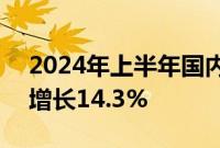 2024年上半年国内出游人次27.25亿，同比增长14.3%