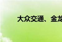 大众交通、金龙汽车午后双双涨停