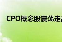 CPO概念股震荡走高，罗博特科涨超12%