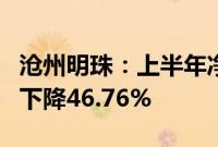 沧州明珠：上半年净利润8823.51万元，同比下降46.76%