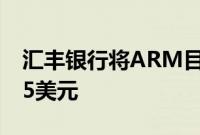 汇丰银行将ARM目标价从100美元上调至105美元