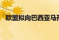 欧盟拟向巴西亚马孙基金捐款2000万欧元