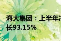 海大集团：上半年净利润21.25亿元，同比增长93.15%