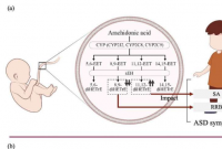 脐带血中的脂肪酸可能导致自闭症谱系障碍