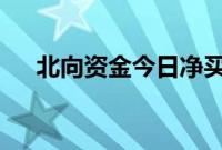 北向资金今日净买入药明康德5.74亿元