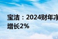 宝洁：2024财年净销售额840亿美元，同比增长2%