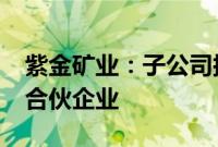 紫金矿业：子公司拟9900万元共同投资设立合伙企业