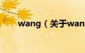 wang（关于wang的基本详情介绍）