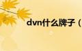 dvn什么牌子（dv什么品牌好）