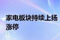 家电板块持续上扬，华帝股份、TCL智家午后涨停