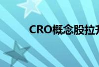 CRO概念股拉升，美迪西涨超5%