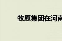 牧原集团在河南成立数字科技公司