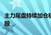 主力尾盘持续加仓机械设备股，抛售食品饮料股