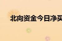 北向资金今日净买入药明康德2.97亿元