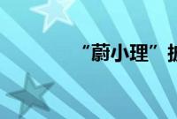 “蔚小理”披露7月交付数据