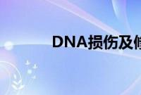 DNA损伤及修复机制谜团解开