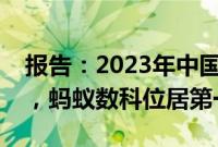 报告：2023年中国隐私计算市场增长12.8%，蚂蚁数科位居第一