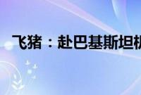 飞猪：赴巴基斯坦机票搜索热度激增超5倍