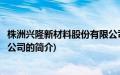 株洲兴隆新材料股份有限公司(关于株洲兴隆新材料股份有限公司的简介)