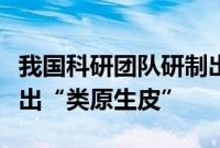 我国科研团队研制出可降解材料助难愈伤口长出“类原生皮”