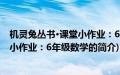 机灵兔丛书·课堂小作业：6年级数学(关于机灵兔丛书·课堂小作业：6年级数学的简介)