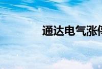 通达电气涨停上演“地天板”