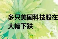 多只美国科技股在德国Tradegate交易平台大幅下跌