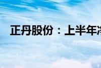 正丹股份：上半年净利润同比增长1016%