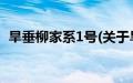 旱垂柳家系1号(关于旱垂柳家系1号的简介)