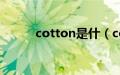 cotton是什（cotton什么意思）