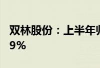 双林股份：上半年归母净利润同比增长282.89%