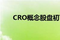 CRO概念股盘初下挫，百花医药跌停