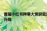 首届小红书种草大赏获奖案例诞生，种草产品解决方案宣布升级