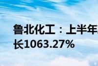 鲁北化工：上半年净利润1.46亿元，同比增长1063.27%