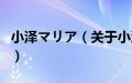 小泽マリア（关于小泽マリア的基本详情介绍）