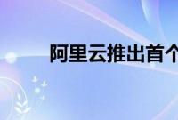 阿里云推出首个域名AI大模型应用