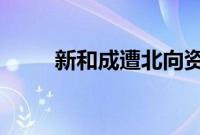 新和成遭北向资金净卖出2.54亿元