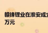 赣锋锂业在淮安成立锂电公司，注册资本500万元