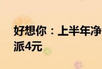 好想你：上半年净亏损3623.47万元，拟10派4元