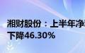 湘财股份：上半年净利润7332.95万元，同比下降46.30%