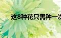 这8种花只需种一次让你每年都有花赏