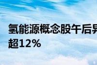 氢能源概念股午后异动，厚普股份直线拉升涨超12%