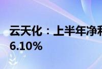 云天化：上半年净利润28.41亿元，同比增长6.10%