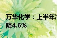 万华化学：上半年净利润81.74亿元，同比下降4.6%