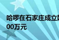 哈啰在石家庄成立网络科技公司，注册资本100万元