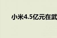 小米4.5亿元在武汉成立智能电器公司